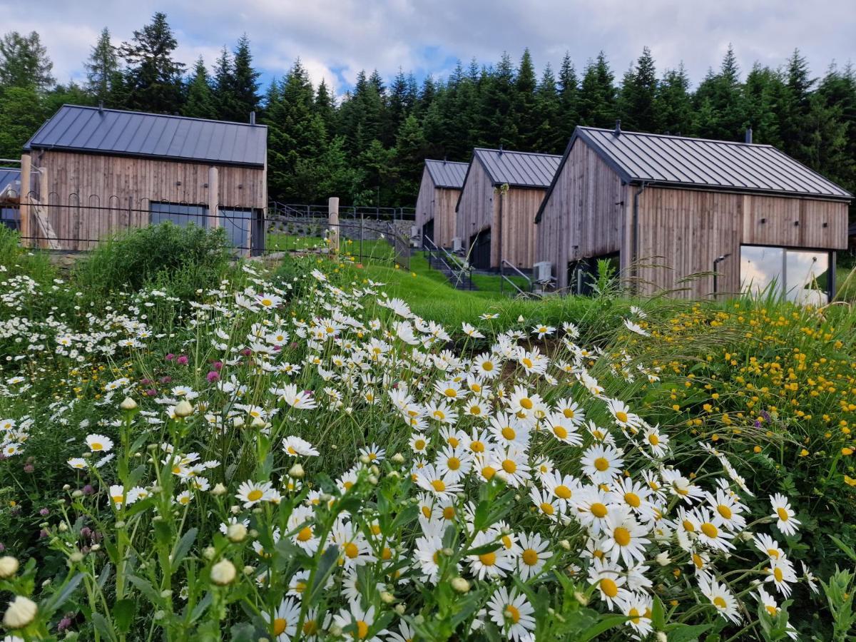 Domki Z Gorki Na Pazurki Falsztyn Exteriör bild